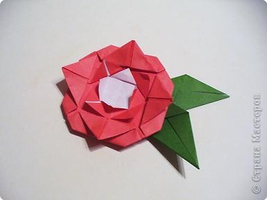 origami inne - 035r.jpg