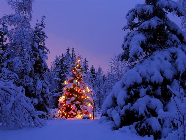 Obrazki na Boże Narodzenie - Christmas 62.jpg