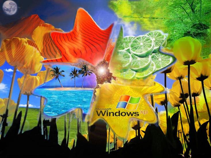 TAPETY  WINDOWS - 786.jpg