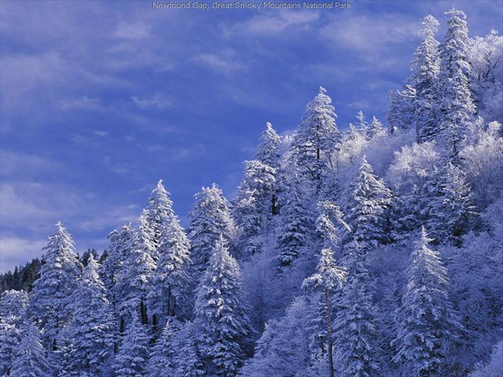 foto1 - zimowy krajobraz 09.jpeg