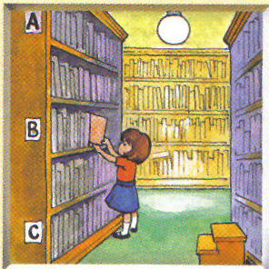 Litera B - biblioteka.jpg