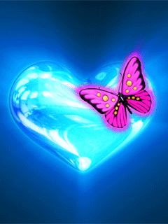 TAPETY - butterfly_mxia3qhd.gif