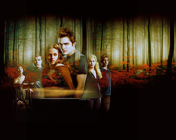 Twilight - Twilight-Cast-twilight-movie-3103526-1280-1024.jpg