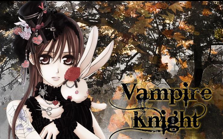 Vampire Knight - 27.jpg