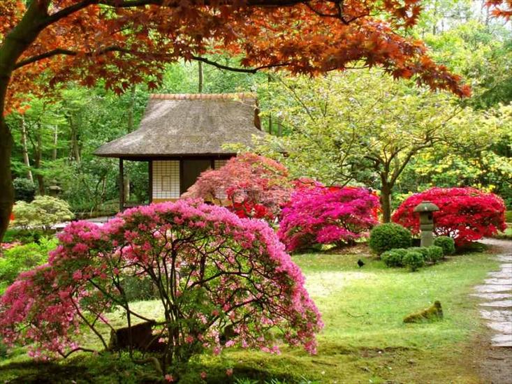 Ogrody i krajobrazy  japońskie - 1267604771Azwaqsx.jpg