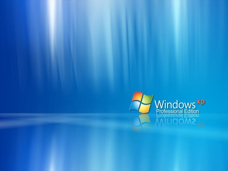 Tapety na pulpit - ws_Windows_XP_Pro_1024x768.jpg