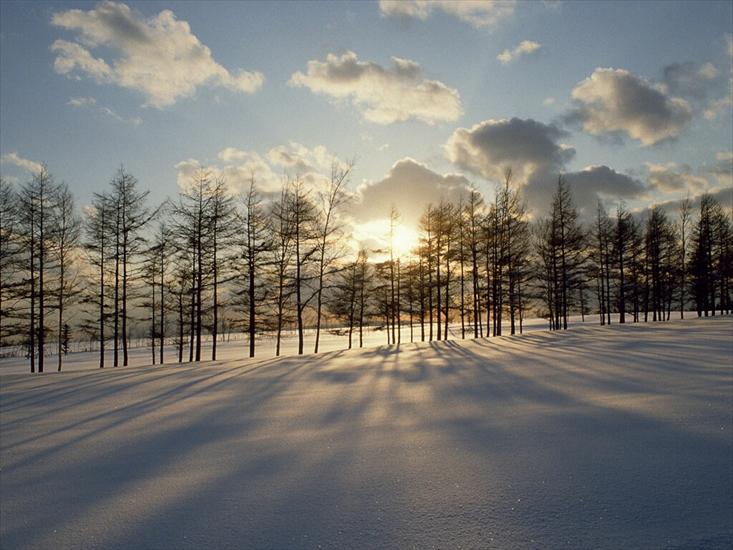 winter - winter_snow-000.jpg