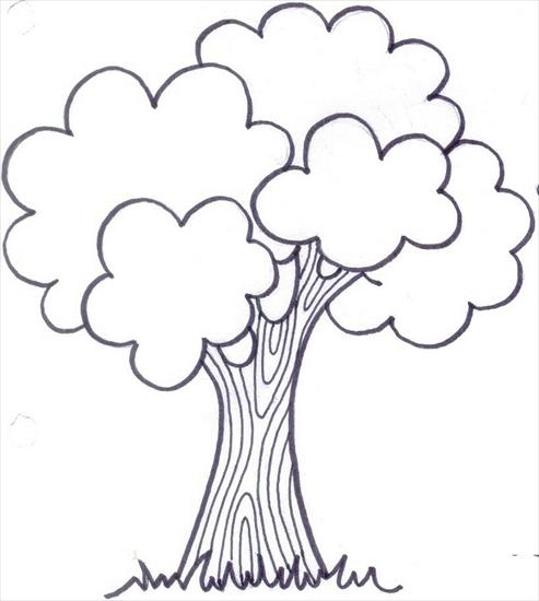 drzewa i liście - _rbol_3.jpg