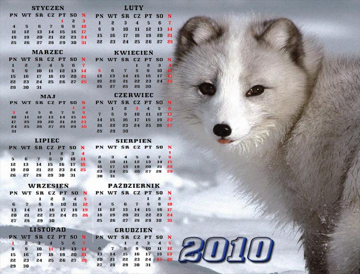 Kalendarze 2010 - Bez_nazwy_44.jpg