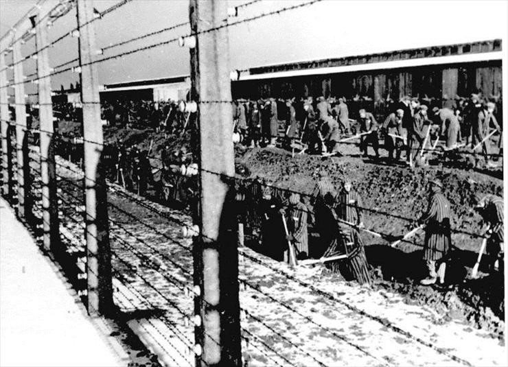Auschwitz - Birkenau - Auschwitz II-Birkenau concentration camp. Sector BII a. SS photograph..jpg
