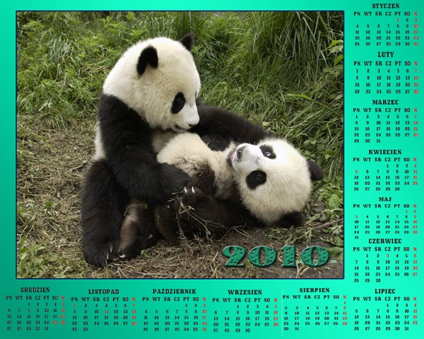 Kalendarze 2010 - Kalendarz 201057.jpg