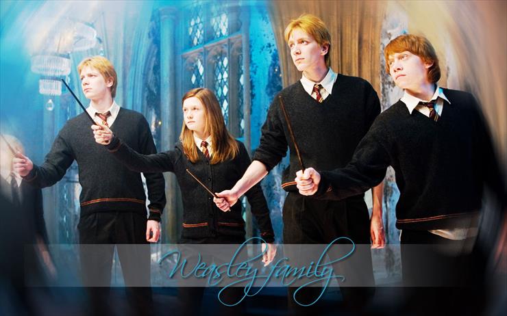 Harry Potter - the-weasley-family DesktopNexus.com1.jpg