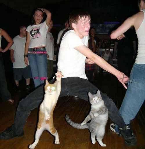 piotrekbarsa - dancingwithcatsas4.jpg