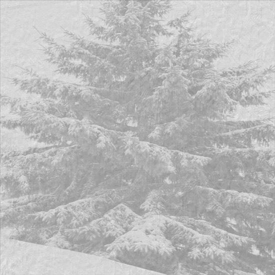 DODATKI JPG ZIMOWE - snow2.jpg