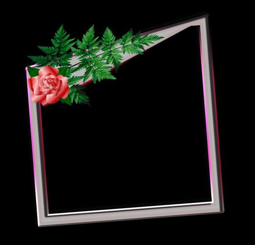Z różami - róz.jpg