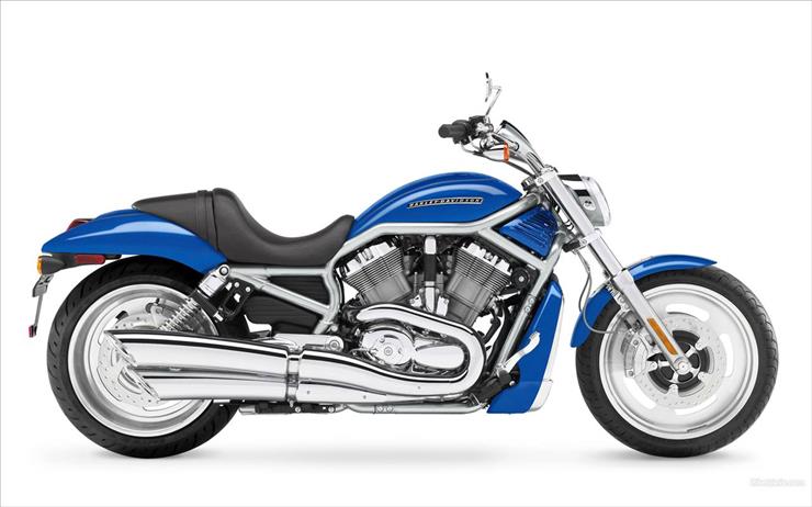 Motory - Harley 51.jpg