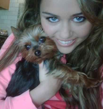 Miley Cyrus - miley-dog.jpg