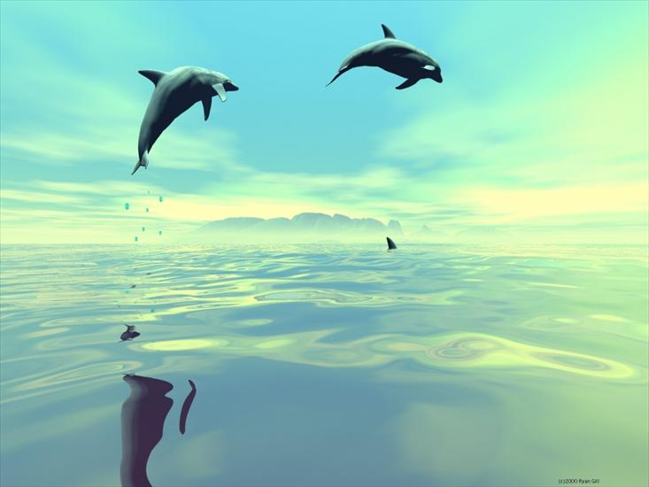 Tapety - delfiny.jpg