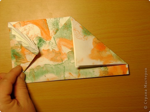 origami - DSC06290.JPG