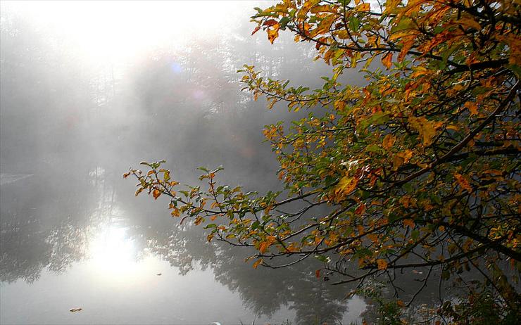 MGŁA - foggy-morning.jpg