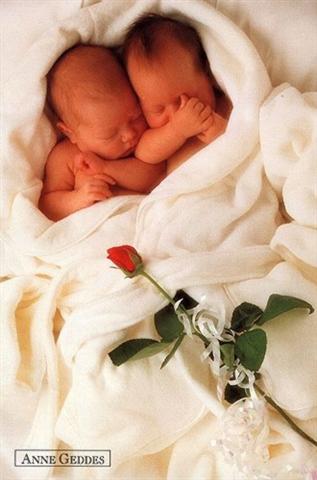 galeria Anne Geddes - 361.jpg