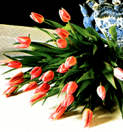 bukiety - tulipany.gif