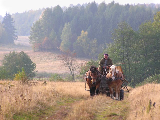 FOTO WYSOCZYZNA ELB - wysoczyzna07.jpg