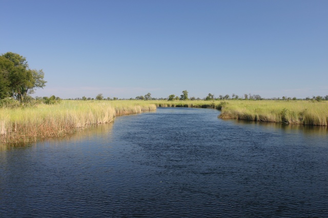 Rzeki - Okavango_kanal.jpg
