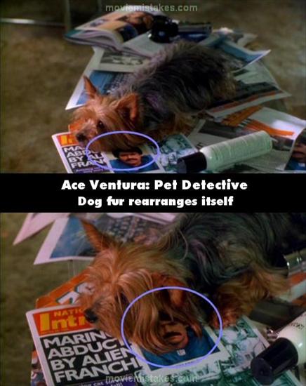 wpadki i gafy filmowezdjecia - Ace Ventura Pet Detective 15.jpg