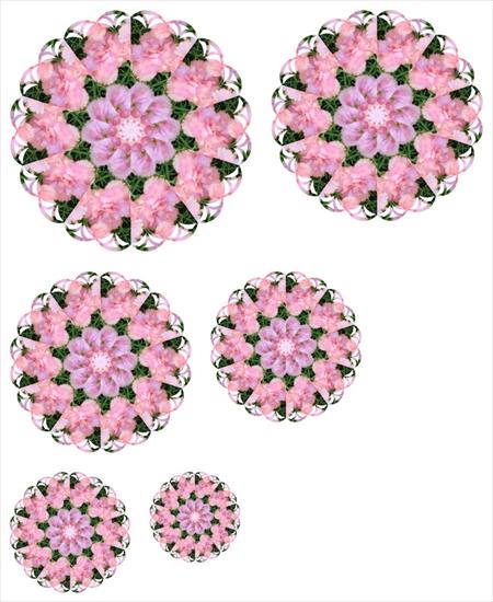 Motywy 3d - pink_carnations_2.JPG