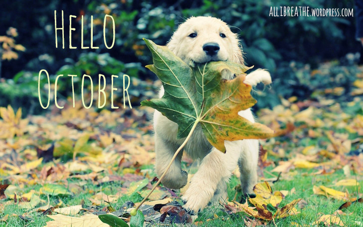 HELLO OCTOBER - hellooctober.jpg