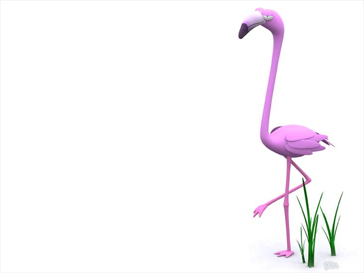 Zwierzaki Kudlaki - Funny 3D Animals Wallpapers 10.jpg