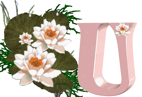 Alfabet z Lilią Wodną - 002 - U.gif