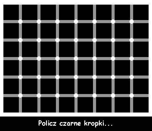 iluzja - policz czarne kropki.jpg