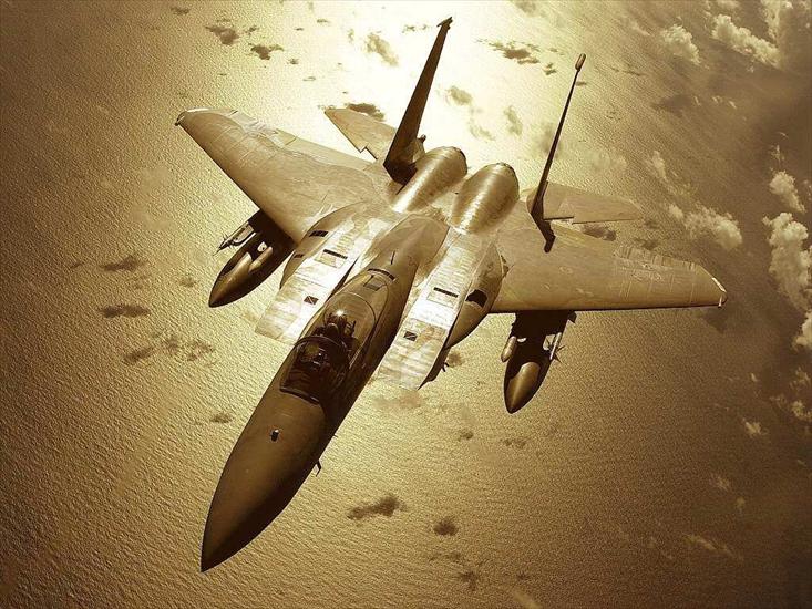 Militarne I - f15-eagle-fighter-planeb.jpg