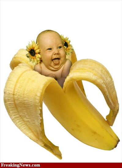 GALERIA 1 - Banana-boy--62118.jpg