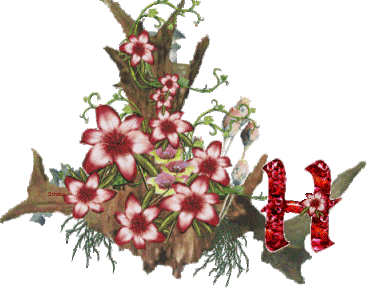 Alfabety z Bukietem kwiatów - 012 - H.gif