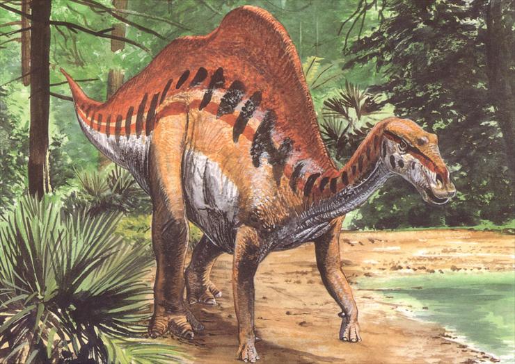 Dinosaurs - Ouranosaurus.jpg