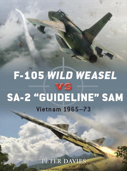 Duel ArtModeling - OD35_F-105_Wild_Weasel_vs_SA-2_Guideline_SAM.jpg