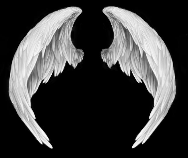 anioły i demony - skrzydła2.png