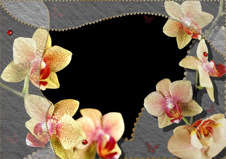 RAMKI ORCHIDEE - Ramka z kwiatami 1534.png