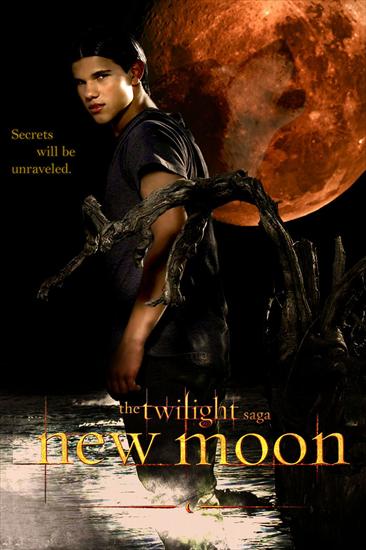 plakaty i tapety - new-moon-poster-twilight-series-5361551-768-1154.jpg