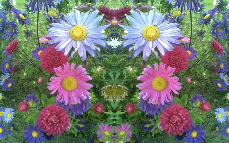 kwiaty - stereo.jpg