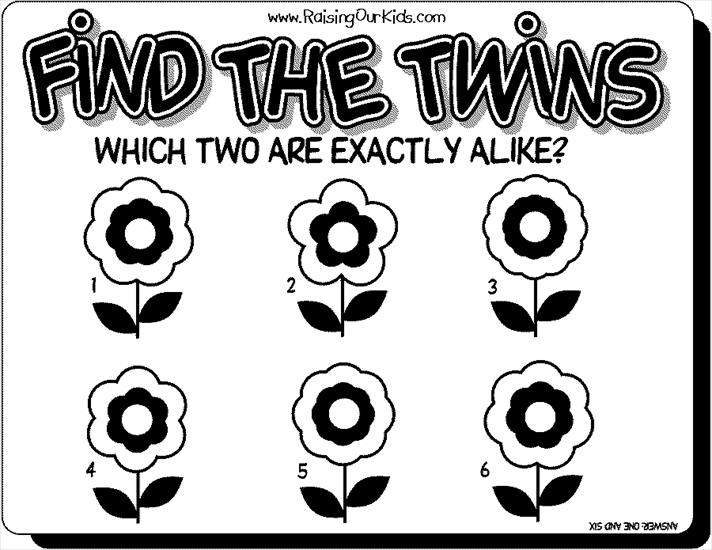 ZNAJDŹ 2 TAKIE SAME OBRAZKI - twinsFLOWERS.gif