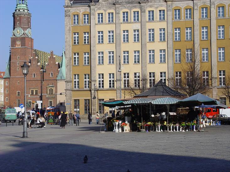 Rynek i ogród japoński - DSC00087.JPG