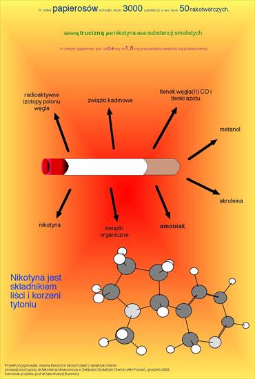 Tablice i plansze - nikotyna.JPG