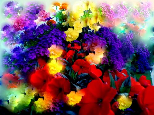 Kwiaty, kwiatuszki, bukiety - kwiaty 2.jpg