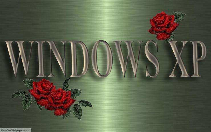  Windows XP - 8666_XP_wallpaper.jpg