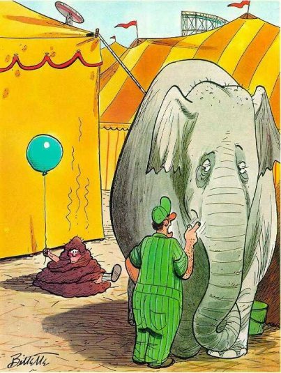 śmieszne - bad elephant.jpg