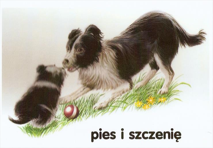 przyroda - pies i szczenię.jpg